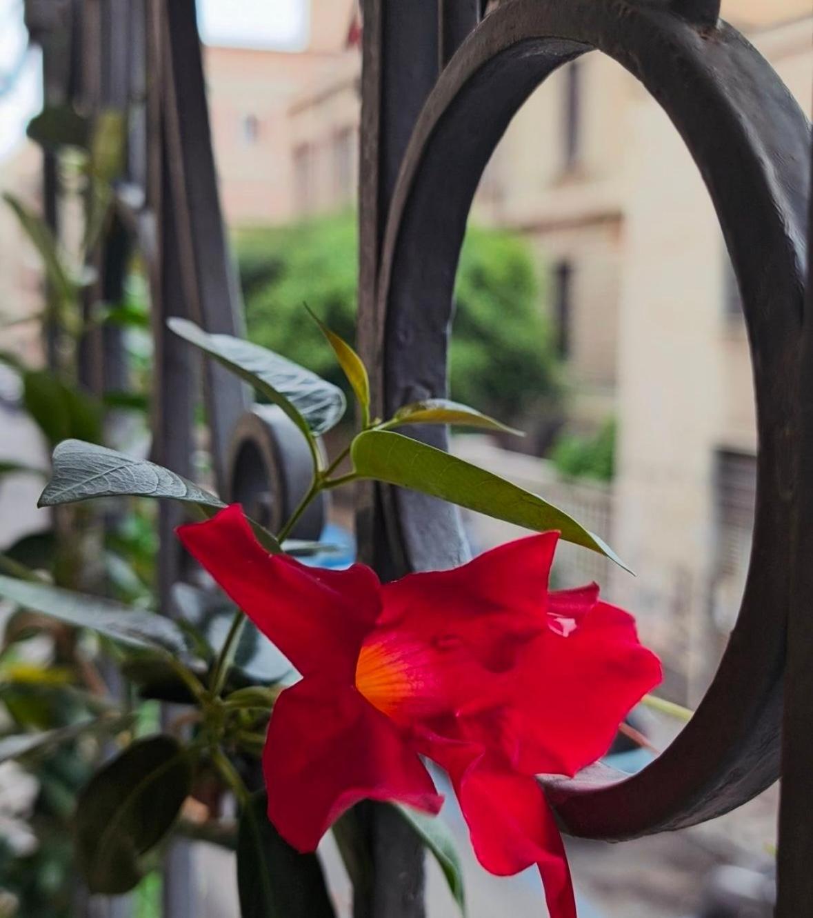 Art Palace Apartment City Center Catania Bagian luar foto
